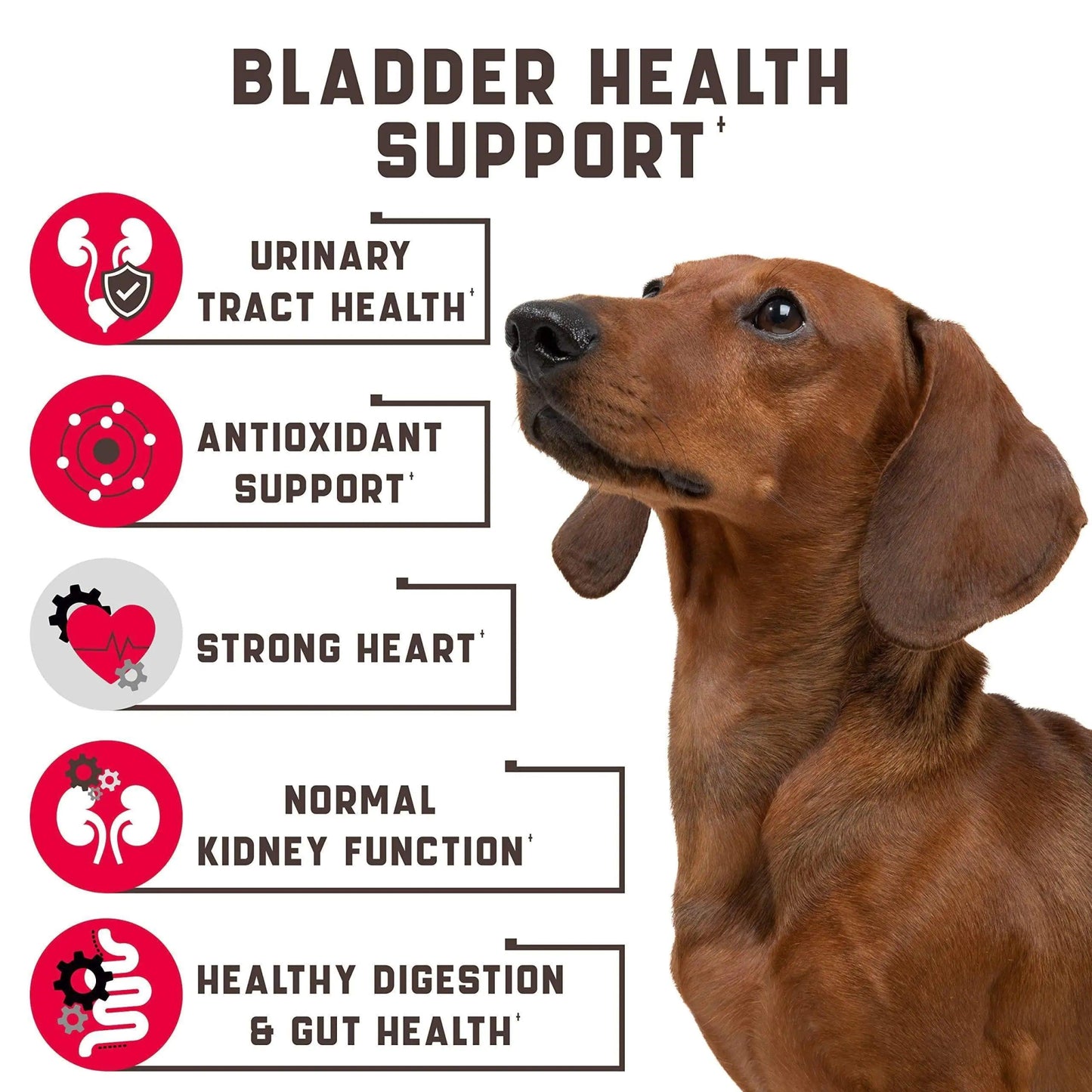 180 Cranberry UT Health Dog Chews - MANDOTOS