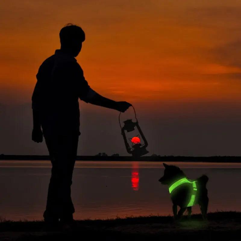 Glowing Pup Safety Harness - MANDOTOS