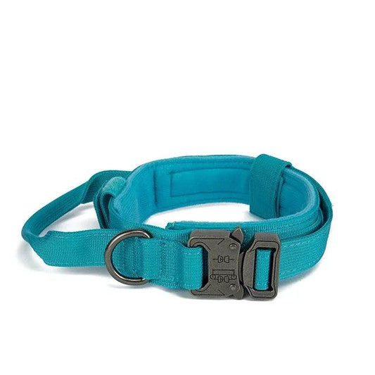 Rugged Canine Control Collar Set - MANDOTOS