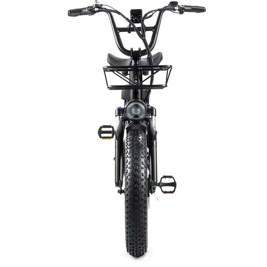 Commuter electric bicycle adult double riding removable battery long battery life wide fat tire