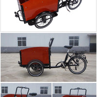 3 Wheels Pedal Electric Cargo Bike Dutch Adult Tricycle Family Bicycle Street Kids Scooter for Sale Customizable