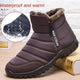 5685-1Camel