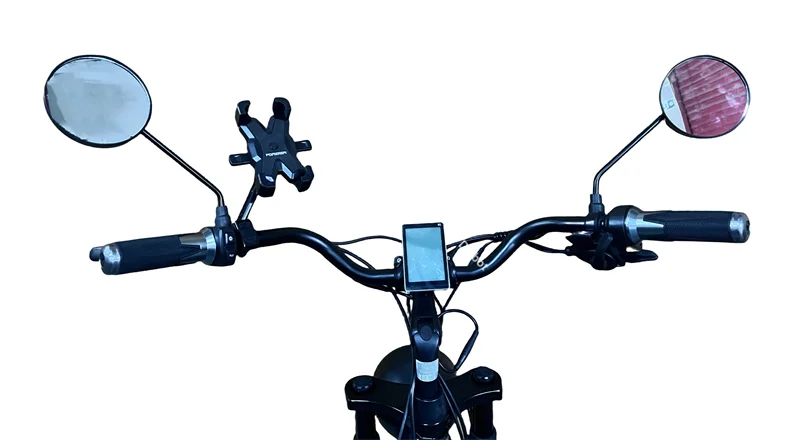 3 Wheel Electric Bicycles for Adults Men Women 24 Inch Electric Fat Bike 750W 15AH Powerful Electric Bicycle With Cargo Basket