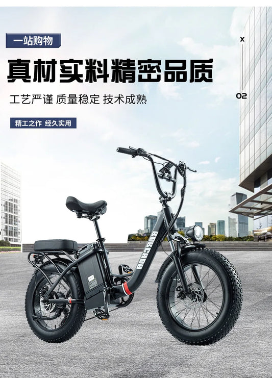 Commuter electric bicycle adult double riding removable battery long battery life wide fat tire