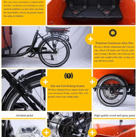 3 Wheels Pedal Electric Cargo Bike Dutch Adult Tricycle Family Bicycle Street Kids Scooter for Sale Customizable