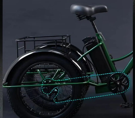 3 Wheel Electric Bicycles for Adults Men Women 24 Inch Electric Fat Bike 750W 15AH Powerful Electric Bicycle With Cargo Basket