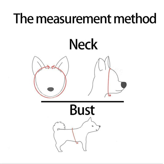 Adjustable Reflective Pet Harness with Leash - MANDOTOS
