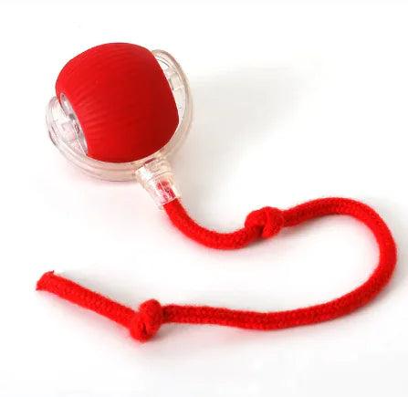 Auto-Rolling Feline Fun Ball - MANDOTOS