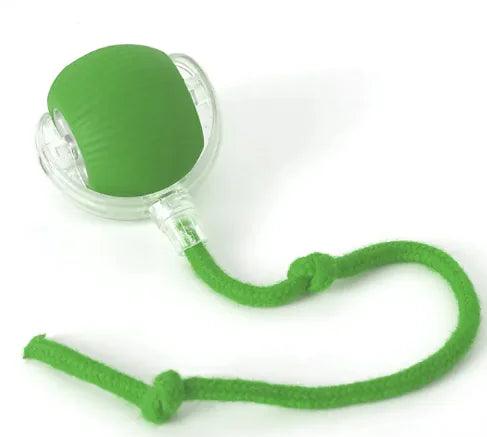 Auto-Rolling Feline Fun Ball - MANDOTOS