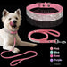 Chic Pet Walk Set - MANDOTOS