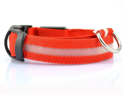 Glowing Night Safety Pet Collar - MANDOTOS