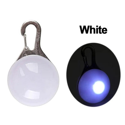 Glowing Night Safety Pet Collar - MANDOTOS