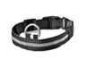 Glowing Night Safety Pet Collar - MANDOTOS