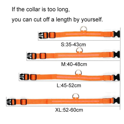 Glowing Night Safety Pet Collar - MANDOTOS