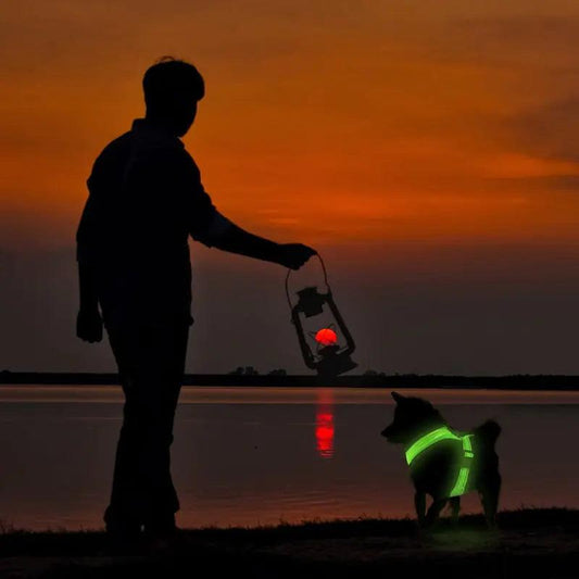 Glowing Pup Safety Harness - MANDOTOS