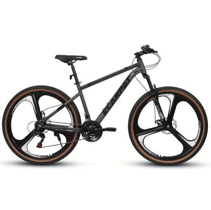 High-carbon Steel Frame Fork Bike - MANDOTOS