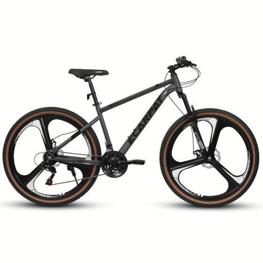 High-carbon Steel Frame Fork Bike - MANDOTOS