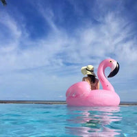 Majestic Flamingo & Unicorn Pool Floats - MANDOTOS