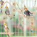 Parrot Playground Swings - MANDOTOS