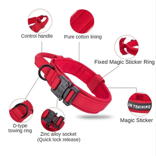 Rugged Canine Control Collar Set - MANDOTOS