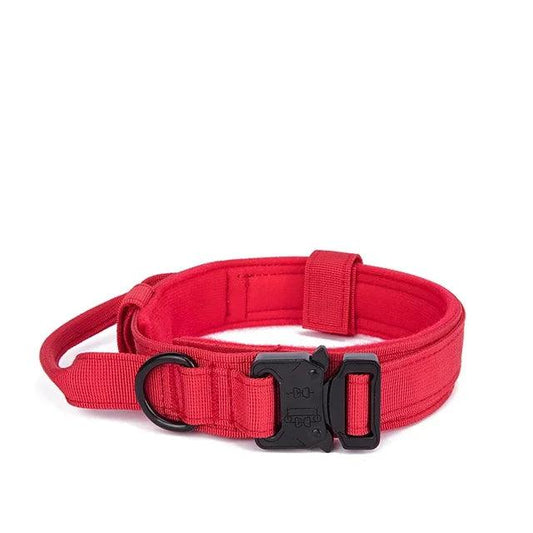 Rugged Canine Control Collar Set - MANDOTOS