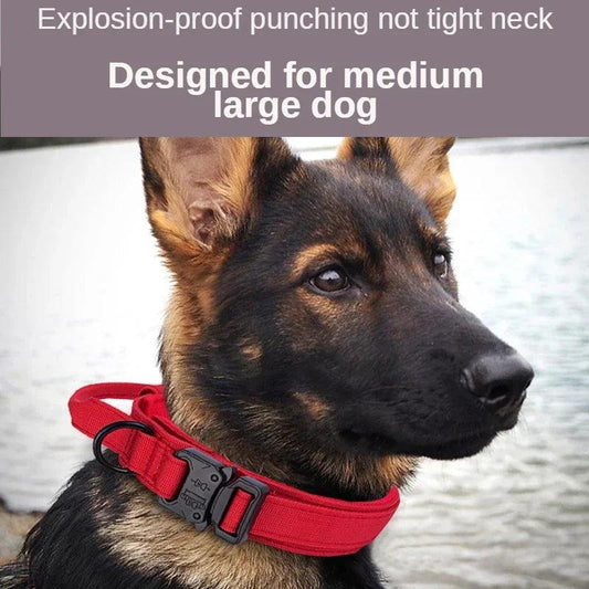 Rugged Canine Control Collar Set - MANDOTOS